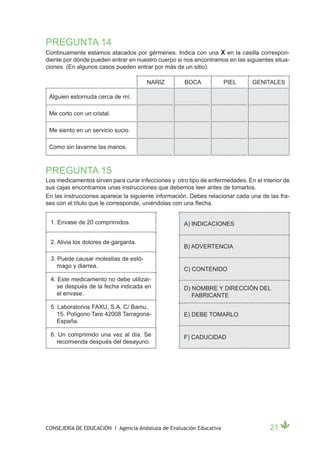 PREGUNTA 14
Continuamente estamos atacados por gérmenes. Indica con una X en la casilla correspon-
diente por dónde pueden entrar en nuestro cuerpo si nos encontramos en las siguientes situa-
ciones. (En algunos casos pueden entrar por más de un sitio).

                                      NARIZ         BOCA             PIEL     GENITALES

 Alguien estornuda cerca de mí.

 Me corto con un cristal.

 Me siento en un servicio sucio.

 Como sin lavarme las manos.



PREGUNTA 15
Los medicamentos sirven para curar infecciones y otro tipo de enfermedades. En el interior de
sus cajas encontramos unas instrucciones que debemos leer antes de tomarlos.
En las instrucciones aparece la siguiente información. Debes relacionar cada una de las fra-
ses con el título que le corresponde, uniéndolas con una flecha.


 1. Envase de 20 comprimidos.                       A) INDICACIONES


 2. Alivia los dolores de garganta.
                                                    B) ADVERTENCIA

 3. Puede causar molestias de estó-
    mago y diarrea.
                                                    C) CONTENIDO
 4. Este medicamento no debe utilizar-
    se después de la fecha indicada en              D) NOMBRE Y DIRECCIÓN DEL
    el envase.                                         FABRICANTE
 5. Laboratorios FAXU, S.A. C/ Bamu,
    15. Polígono Tare 42008 Tarragona-              E) DEBE TOMARLO
    España.

 6. Un comprimido una vez al día. Se                F) CADUCIDAD
   recomienda después del desayuno.




CONSEJERÍA DE EDUCACIÓN I Agencia Andaluza de Evaluación Educativa                   21
 
