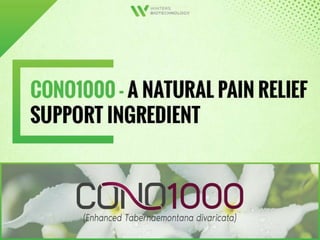CONO1000 - A Natural Pain Relief Support Ingredient