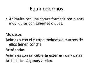 Equinodermos
• Animales con una coraza formada por placas
  muy duras con salientes o púas.

Moluscos
Animales con el cuerpo moluscoso muchos de
  ellos tienen concha
Artrópodos
Animales con un cubierta externa rída y patas
Articuladas. Algunos vuelan.
 