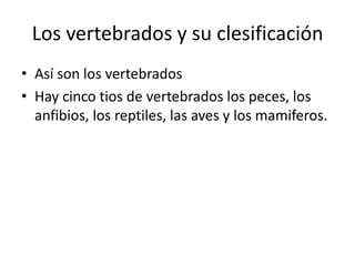 Los vertebrados y su clesificación
• Así son los vertebrados
• Hay cinco tios de vertebrados los peces, los
  anfibios, los reptiles, las aves y los mamiferos.
 