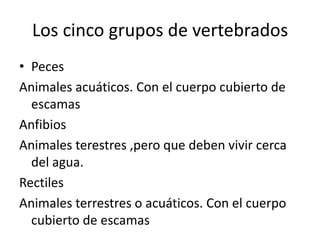 Los cinco grupos de vertebrados
• Peces
Animales acuáticos. Con el cuerpo cubierto de
  escamas
Anfibios
Animales terestres ,pero que deben vivir cerca
  del agua.
Rectiles
Animales terrestres o acuáticos. Con el cuerpo
  cubierto de escamas
 