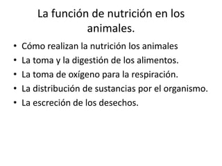 La función de nutrición en los
                 animales.
•   Cómo realizan la nutrición los animales
•   La toma y la digestión de los alimentos.
•   La toma de oxígeno para la respiración.
•   La distribución de sustancias por el organismo.
•   La escreción de los desechos.
 