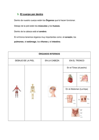 3. El cuerpo por dentro

Dentro de nuestro cuerpo están los Órganos que lo hacen funcionar.

Debajo de la piel están los músculos y los huesos.

Dentro de la cabeza está el cerebro.

En el tronco tenemos órganos muy importantes como: el corazón, los

pulmones, el estómago, los riñones y el intestino.




                           ÓRGANOS INTERNOS


DEBAJO DE LA PIEL                EN LA CABEZA              EN EL TRONCO


                                                        En el Tórax (el pecho)




                                                       En el Abdomen (La tripa)
 