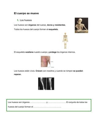 El cuerpo se mueve

        1. Los huesos

     Los huesos son órganos del cuerpo, duros y resistentes.

     Todos los huesos del cuerpo forman el esqueleto.




     El esqueleto sostiene nuestro cuerpo y protege los órganos internos.




     Los huesos están vivos. Crecen con nosotros y cuando se rompen se pueden
     reparar.




Los huesos son órganos……………………. y………………………. El conjunto de todos los

huesos del cuerpo forman el…………………………………….
 