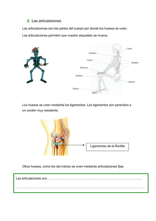 2. Las articulaciones

  Las articulaciones son las partes del cuerpo por donde los huesos se unen.

  Las articulaciones permiten que nuestro esqueleto se mueva.




  Los huesos se unen mediante los ligamentos. Los ligamentos son parecidos a
  un cordón muy resistente.




                                                 Ligamentos de la Rodilla




  Otros huesos, como los del cráneo se unen mediante articulaciones fijas.


Las articulaciones son………………………………………………………………………………

……………………………………………………………………………………………………………
 