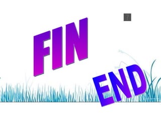 FIN END 