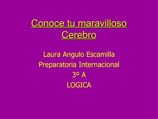 Conoce tu maravilloso Cerebro Laura Angulo Escamilla Preparatoria Internacional 3º A LOGICA 