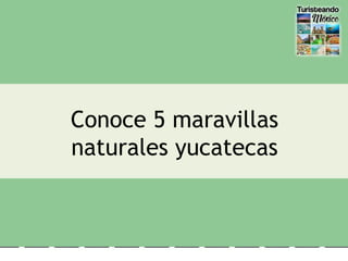 Conoce 5 maravillas
naturales yucatecas
 