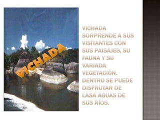 Vichada sorprende a sus visitantes con sus paisajes, su fauna y su variada vegetación. Dentro se puede disfrutar de lasa aguas de sus ríos.VICHADA