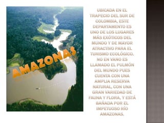 Ubicada en el trapecio del sur de Colombia, este departamento es uno de los lugares más exóticos del mundo y de mayor atractivo para el turismo ecológico. No en vano es llamado el pulmón del mundo pues cuenta con una amplia reserva natural, con una gran variedad de fauna y flora, y está bañada por el impetuoso río amazonas.AMAZONAS 