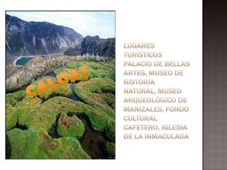 Lugares turísticosPalacio de Bellas Artes, Museo de Historia Natural, Museo Arqueológico de Manizales, Fondo Cultural Cafetero, Iglesia de la InmaculadaCALDAS