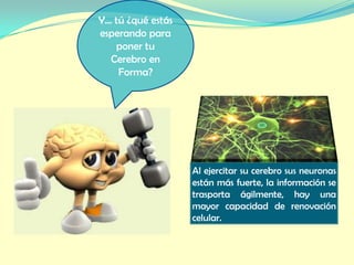 Y… tú ¿qué estás
esperando para
   poner tu
  Cerebro en
    Forma?




                   Al ejercitar su cerebro sus neuronas
                   están más fuerte, la información se
                   trasporta ágilmente, hay una
                   mayor capacidad de renovación
                   celular.
 