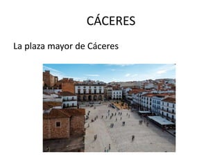 CÁCERES
La plaza mayor de Cáceres
 