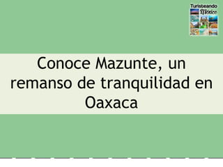 Conoce Mazunte, un
remanso de tranquilidad en
Oaxaca
 