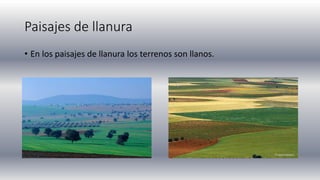 Paisajes de llanura
• En los paisajes de llanura los terrenos son llanos.
 