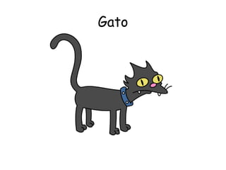 Gato

 