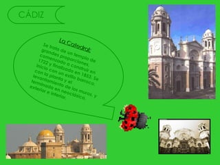CÁDIZ Se trata de un templo de grandes proporciones, comenzado a construir en 1722 y finalizado en 1853.   Se inicio con un estilo barroco, con la planta y el levantamiento de los muros, y terminada en neoclásico, exterior e interior.  La Catedral: 