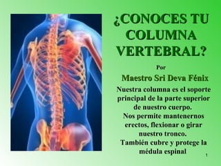 ¿CONOCES TU
  COLUMNA
VERTEBRAL?
            Por
 Maestro Sri Deva Fénix
Nuestra columna es el soporte
principal de la parte superior
     de nuestro cuerpo.
  Nos permite mantenernos
  erectos, flexionar o girar
       nuestro tronco.
 También cubre y protege la
       médula espinal        1
 