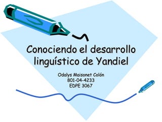 Conociendo el desarrollo linguístico de Yandiel Odalys Maisonet Colón 801-04-4233 EDPE 3067 
