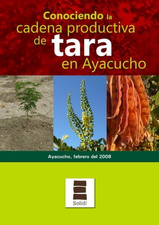 Conociendo la Cadena Productiva de Tara en Ayacucho 
Solid Perú - 0 - 
 