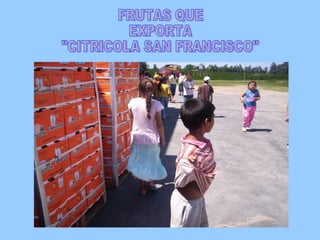 FRUTAS QUE EXPORTA "CITRICOLA SAN FRANCISCO"