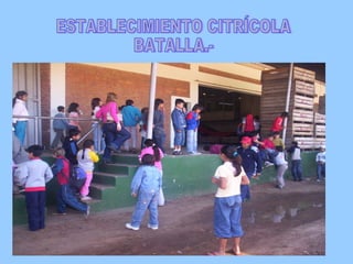 ESTABLECIMIENTO CITRÍCOLA BATALLA.-