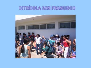 CITRÍCOLA SAN FRANCISCO