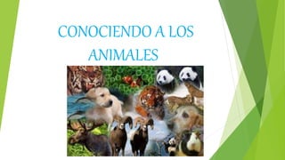 CONOCIENDO A LOS
ANIMALES
 