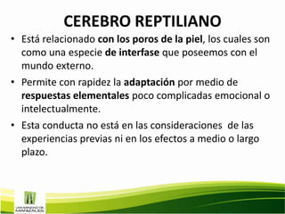 CEREBRO REPTILIANO
• Está relacionado con los poros de la piel, los cuales son
  como una especie de interfase que poseemos con el
  mundo externo.
• Permite con rapidez la adaptación por medio de
  respuestas elementales poco complicadas emocional o
  intelectualmente.
• Esta conducta no está en las consideraciones de las
  experiencias previas ni en los efectos a medio o largo
  plazo.
 