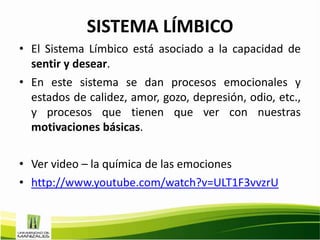 SISTEMA LÍMBICO
• El Sistema Límbico está asociado a la capacidad de
  sentir y desear.
• En este sistema se dan procesos emocionales y
  estados de calidez, amor, gozo, depresión, odio, etc.,
  y procesos que tienen que ver con nuestras
  motivaciones básicas.

• Ver video – la química de las emociones
• http://www.youtube.com/watch?v=ULT1F3vvzrU
 