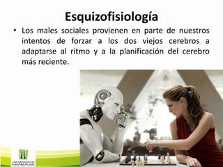 Esquizofisiología
• Los males sociales provienen en parte de nuestros
  intentos de forzar a los dos viejos cerebros a
  adaptarse al ritmo y a la planificación del cerebro
  más reciente.
 