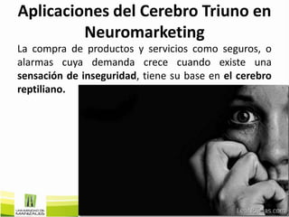 Aplicaciones del Cerebro Triuno en
         Neuromarketing
La compra de productos y servicios como seguros, o
alarmas cuya demanda crece cuando existe una
sensación de inseguridad, tiene su base en el cerebro
reptiliano.
 
