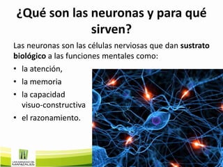 ¿Qué son las neuronas y para qué
             sirven?
Las neuronas son las células nerviosas que dan sustrato
biológico a las funciones mentales como:
• la atención,
• la memoria
• la capacidad
  visuo-constructiva
• el razonamiento.
 