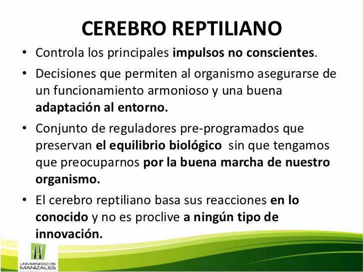 cerebro reptiliano by agrimensor2’s