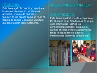 PECUARIA:                                 AREAS INDUSTRIALES:
Esta área agrícola orienta y capacita a
los alumnos(as) como se alimenta
animales, el cuido de animales,           ELECTRICIDAD:
también se les explica como se hace el    Esta área industrial orienta y capacita a
trabajo de campo y para que un futuro     los alumnos en el área técnica de lo que
puedan estudiar perito Agrónomo.          es la electricidad , dando los
                                          conocimientos básicos, para que el
                                          alumno al egresar del establecimiento
                                          tenga la capacidad de elaborar
                                          instalaciones eléctricas de todo tipo.
 