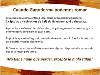 Cuando Ganoderma podemos tomar
Se recomienda como cantidad ideal diaria de Ganoderma Lucidum:
2 cápsulas o 4 sobrecitos de Café de Ganoderma, té o chocolate.

Aquí se hace énfasis en la palabra ideal, ningún organismo humano es igual a
otro y ninguna condición es igual a otra.

Es posible que usted logre el resultado deseado con solo 1 o 2 sobrecitos al
día o quizás necesite alguno más.

El Ganoderma no tiene efecto secundario alguno. Haga usted la prueba de
que es lo mejor para usted.

¡No tiene nada que perder, excepto la mala salud!
 