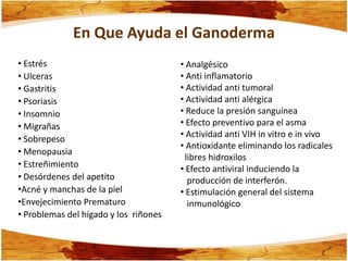 En Que Ayuda el Ganoderma
• Estrés                               • Analgésico
• Ulceras                              • Anti inflamatorio
• Gastritis                            • Actividad anti tumoral
• Psoriasis                            • Actividad anti alérgica
• Insomnio                             • Reduce la presión sanguínea
• Migrañas                             • Efecto preventivo para el asma
                                       • Actividad anti VIH in vitro e in vivo
• Sobrepeso
                                       • Antioxidante eliminando los radicales
• Menopausia
                                        libres hidroxilos
• Estreñimiento                        • Efecto antiviral induciendo la
• Desórdenes del apetito                 producción de interferón.
•Acné y manchas de la piel             • Estimulación general del sistema
•Envejecimiento Prematuro                inmunológico
• Problemas del hígado y los riñones
 