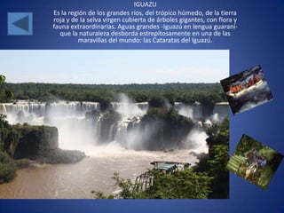 IGUAZU
Es la región de los grandes ríos, del trópico húmedo, de la tierra
roja y de la selva virgen cubierta de árboles gigantes, con flora y
fauna extraordinarias. Aguas grandes -Iguazú en lengua guaraní-
  que la naturaleza desborda estrepitosamente en una de las
         maravillas del mundo: las Cataratas del Iguazú.




                      IGUAZU
 