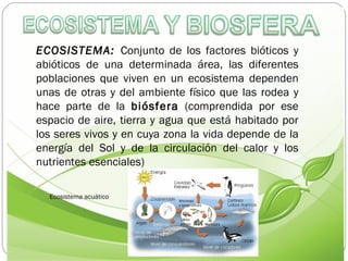 ECOSISTEMA:  Conjunto de los factores bióticos y abióticos de una determinada área, las diferentes poblaciones que viven e...