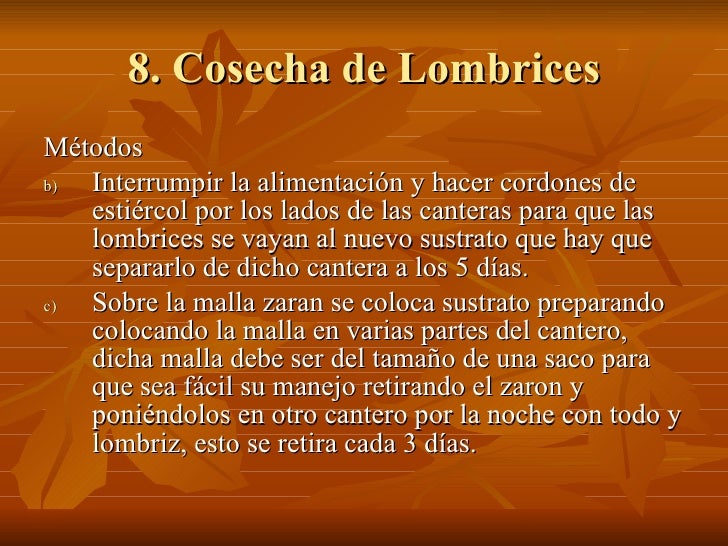 La profiláctica de los helmintos a los niños la instrucción