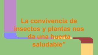 La convivencia de 
insectos y plantas nos 
da una huerta 
saludable” 
 