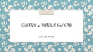 CONOCIENDO LA PROVINCIA DE GRAN CHIMÚ 
Adriana Carranza 
 