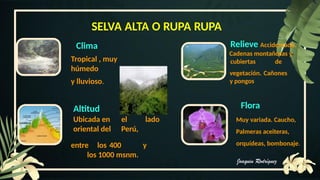 Conociendo las 8 regiones naturales del Perú.pptx