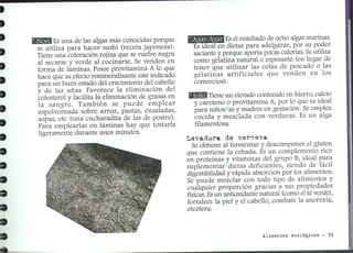 Conociendolosalimentosdeproduccionecologica