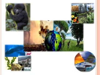 Conociendo  los ecosistemas