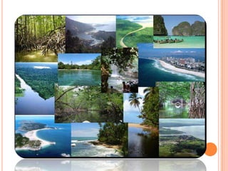 Conociendo  los ecosistemas