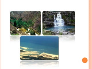 Conociendo  los ecosistemas