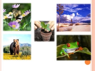 Conociendo  los ecosistemas