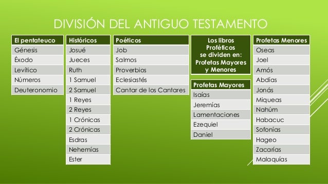Como Se Dividen Los Libros De La Biblia - Libros Afabetización