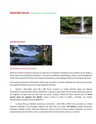 NUESTRA SELVA: (CONCIENDOLA Y CONSERVANDOLA)
REVISANDO NUESTRA GEOGRAFIA:
Nuestro territorio amazónico peruano se ubica en las vertientes orientales de la cordillera de los Andes, y
forma parte de la Amazonía occidental, la cual tiene condiciones ambientales o físicas muy heterogéneas.
El 61 % de la superficie del Perú es ecosistema Amazónico, y este alberga el 90 % de los bosques peruanos.
Esta sección proporciona información básica que caracteriza el medio ambiente de la Amazonía peruana,
principalmente desde su punto de vista ambiental y/ó físico.
• Nuestra Selva Baja: entre 90 y 500 msnm, presenta un relieve bastante plano con algunas
elevaciones, es denominado "llanura amazónica" y ocupa la mayor parte del territorio amazónico peruano.
Las regiones con gran área de selva baja son Loreto, Ucayali y Madre de Dios, mientras que en forma
parcial están las regiones San Martín, Cusco y Puno. El clima es cálido y húmedo, con fuertes
precipitaciones anuales, de hasta 3000 mm.
• La Selva Alta que también tenemos se encuentra : entre 500 y 1900 msnm, presenta un relieve
bastante ondulado. Las principales regiones con selva alta son Loreto, San Martín, Ucayali, Amazonas,
Cajamarca, Madre de Dios, Ayacucho, Apurímac, Cusco y Puno El clima es cálido y húmedo, con fuertes
precipitaciones de noviembre a abril, y una temporada de menos lluvia, de mayo a octubre.
 